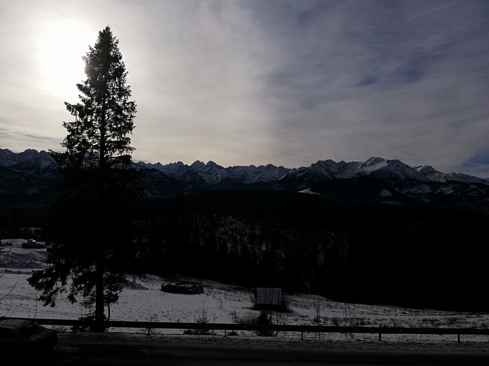 IMG_20220108_105700.jpg - Gimlii73