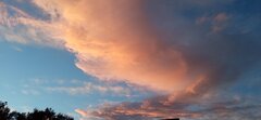 IMG_20211021_174354.jpg