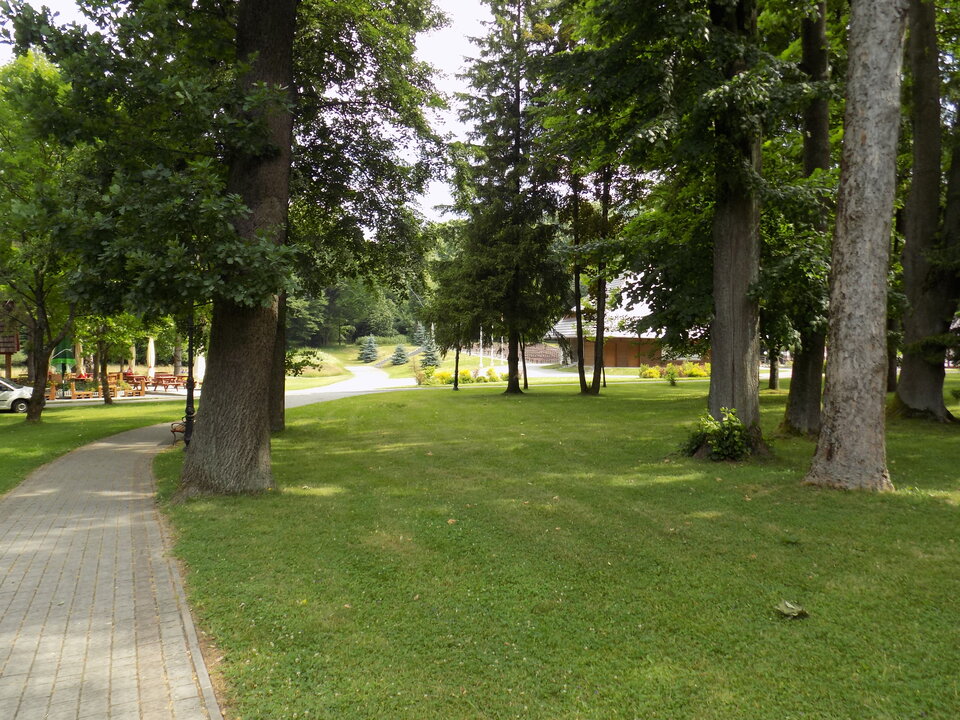 DSCN4334.JPG - zmyslowy74