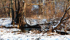 IMG_2238.JPG
