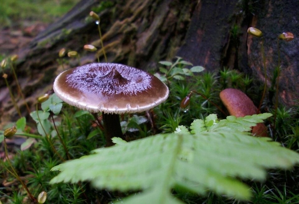 Tak se sterczy - benio074