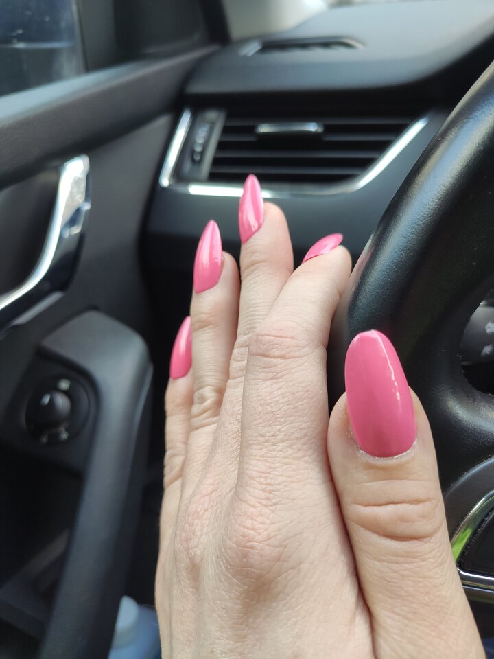 Jadę sobie na ... - piditv