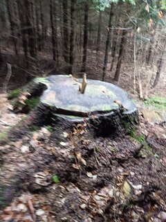 IMG20220106095856.jpg