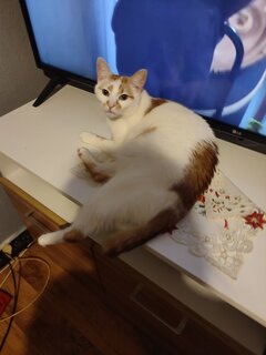 IMG_20220105_235952.jpg