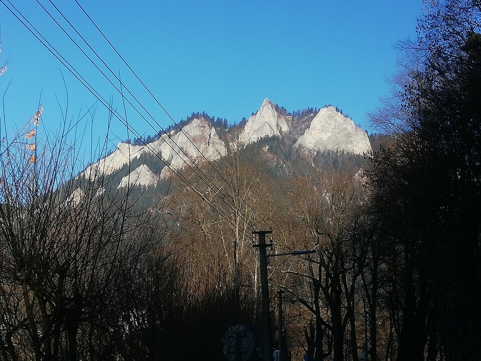 IMG_20220107_104320.jpg - naturyscixxl