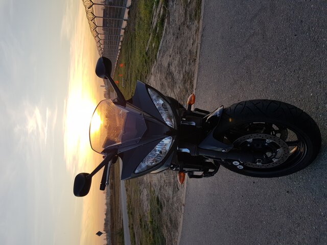 Nussi81