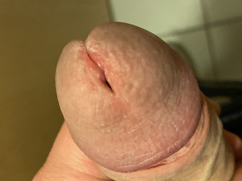 image.jpg - lordnorbi