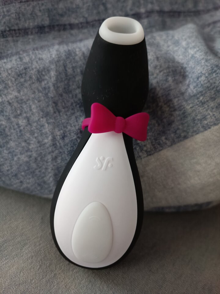 16420640782711480686989409756180.jpg - frezeripani