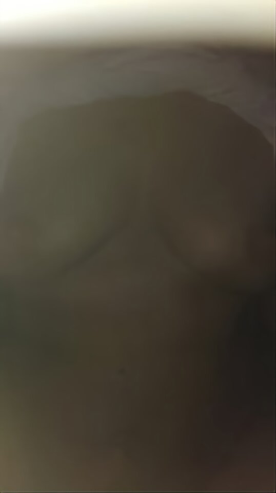attach (11).jpeg - Pareczkamw