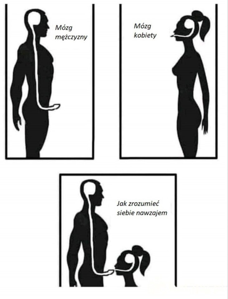 2ad5bcc3cf773130320abe532bc7673a_normal.jpg - Och_