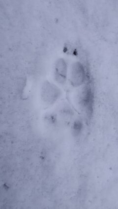 IMG_20220108_223903.jpg