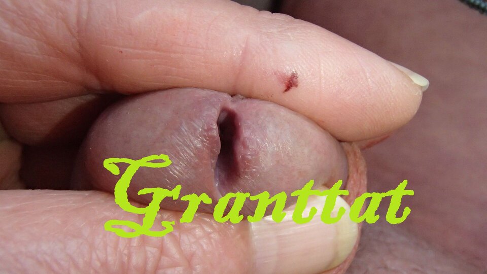 Granttat - Granttat60