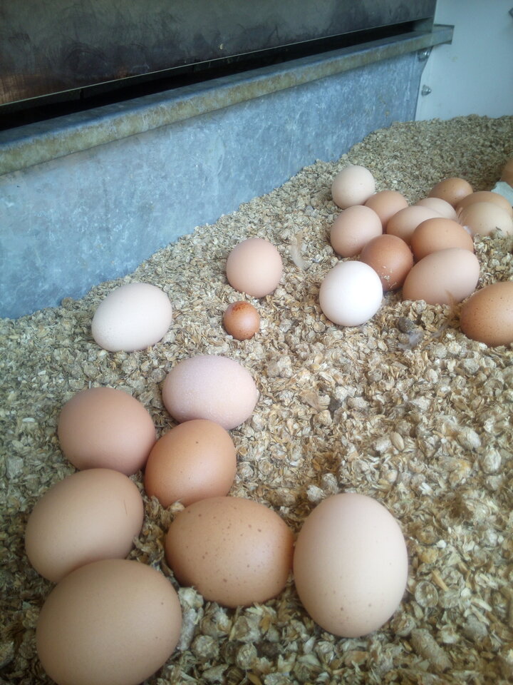 IMG_20180607_152215.jpg - klipool