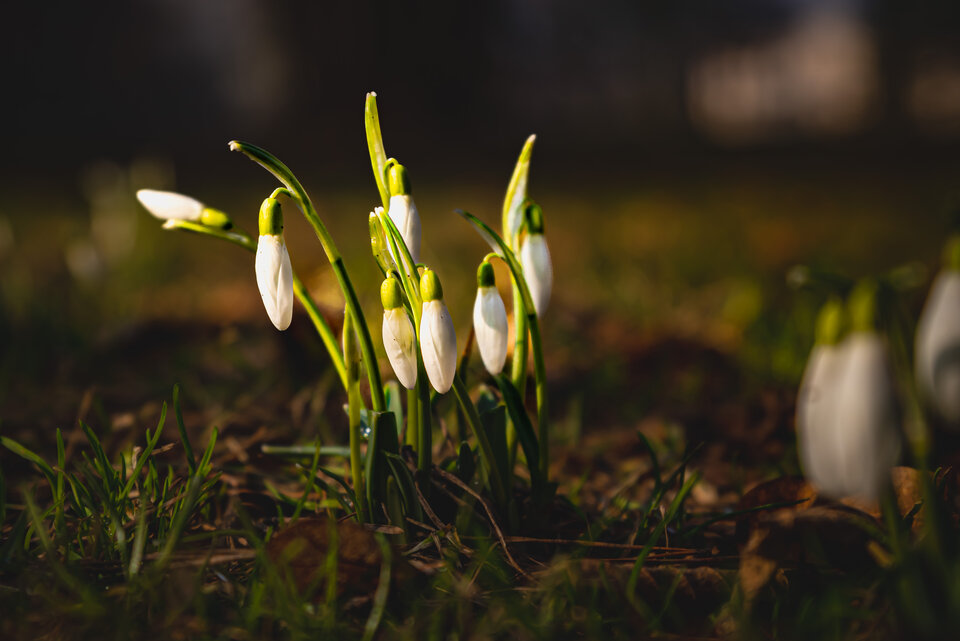 Byle do wiosny .. - mystic