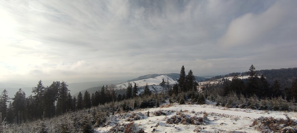 IMG_20220116_140844.jpg - Loki00