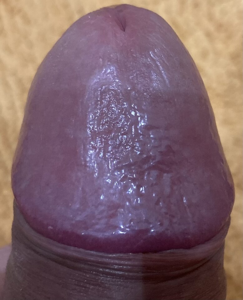 328756EB-2C52-453A-BBA0-A9A8367A484F.jpeg - Baldnymphoman