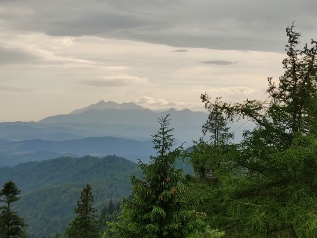 pusiolizak