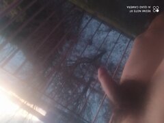 Wszystko budzi się do życia przy wschodzie slonca