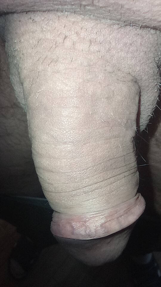 IMG_20220119_154151.jpg - dupekalex