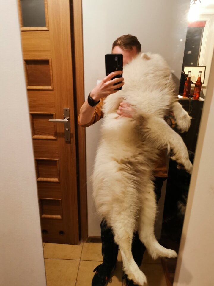Ktoś ma ochotę się z nami poprzytulać?? 😅🤣 - MisBialy93