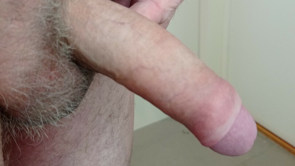 IMG_20220119_155454.jpg - ardas1