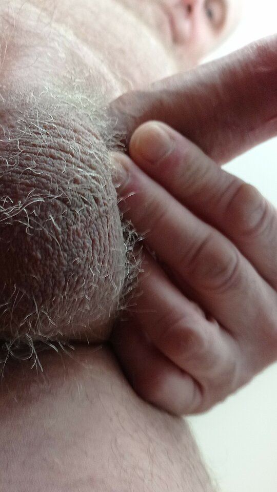 IMG_20220119_155503.jpg - ardas1