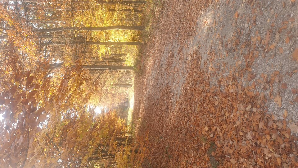 20211027_123324.jpg - obrzezany14