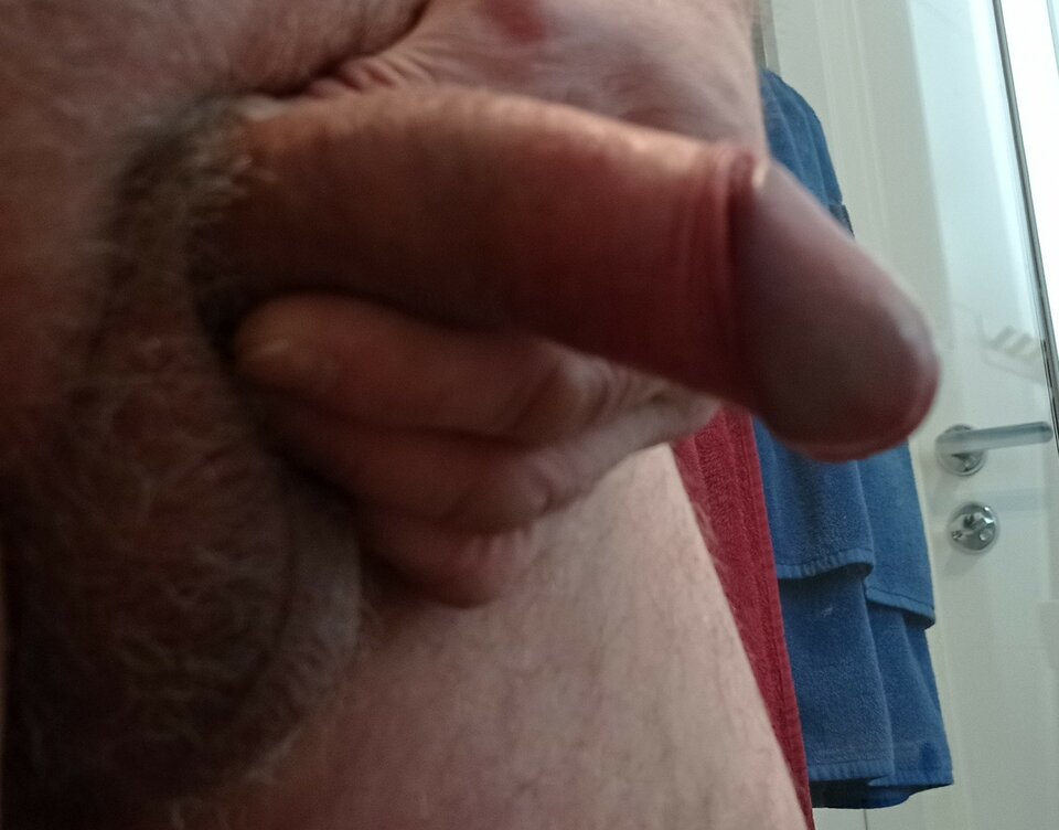 IMG_20220119_154621.jpg - ardas1