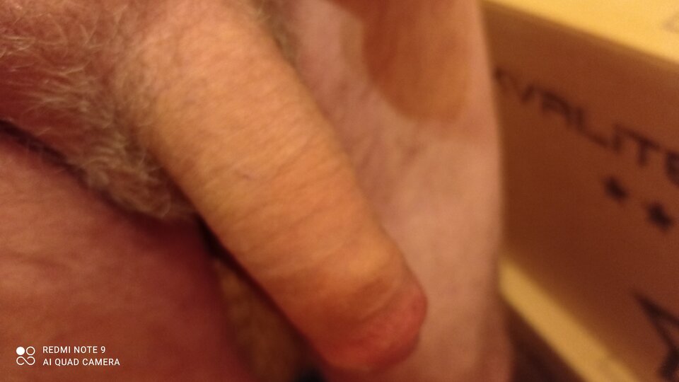 IMG_20220120_095231.jpg - ardas1