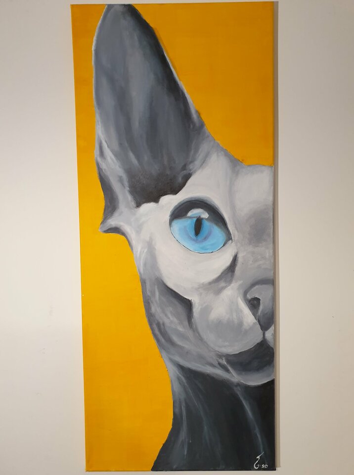 kotek.jpeg - agamich