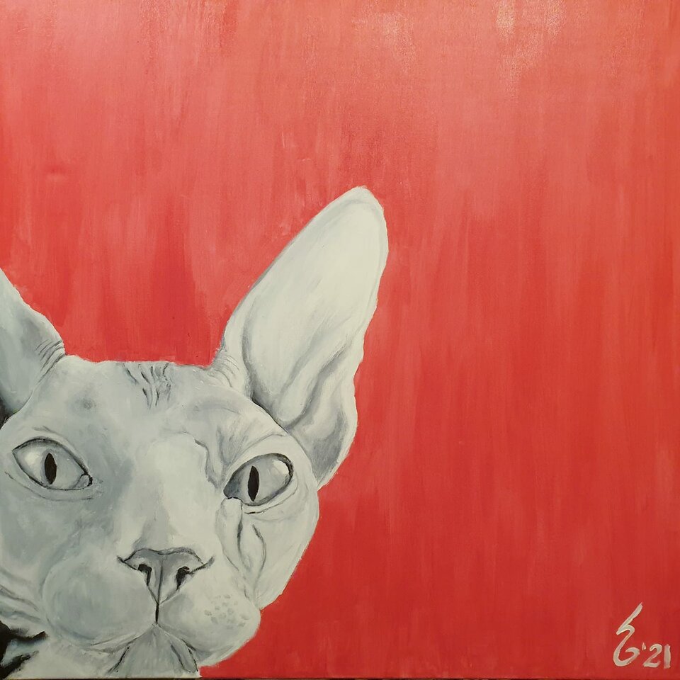 kot 2.jpeg - agamich