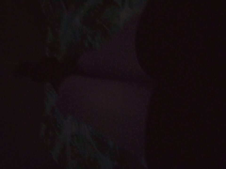 IMG_20220121_073425986.jpg - sexi1985