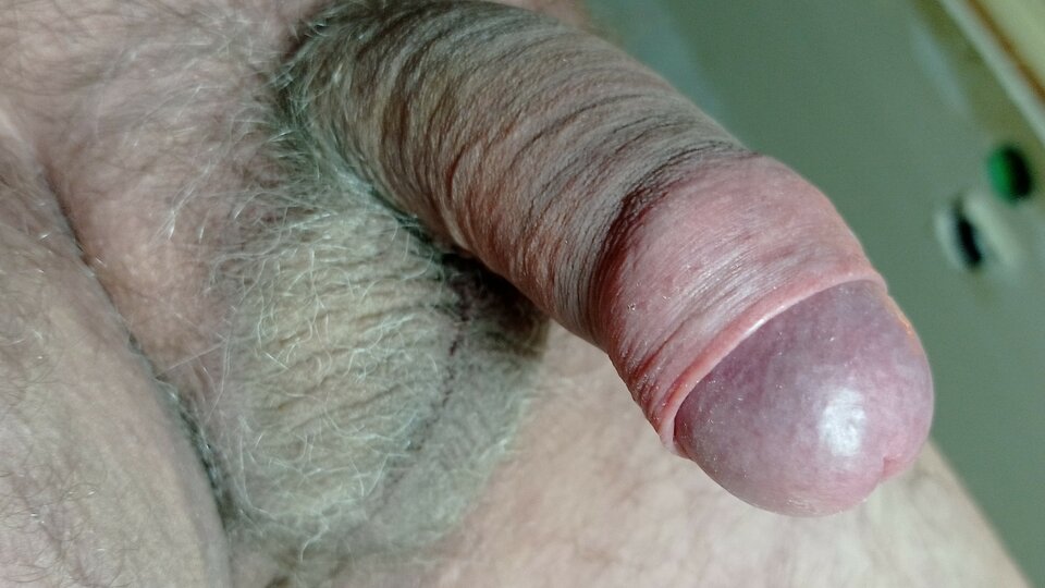 IMG_20220121_065032.jpg - ardas1