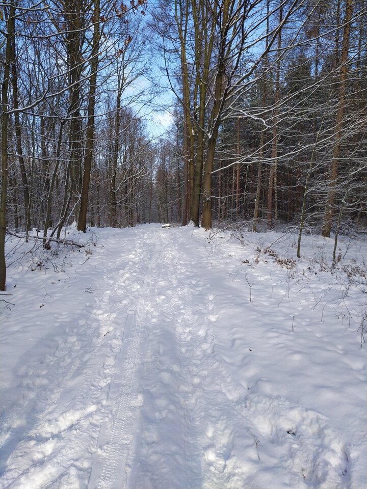 IMG_20220122_110434.jpg - Wstydliwi75