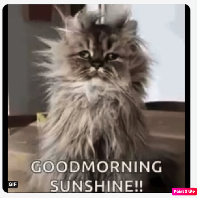 sunshine.jpg - agamich