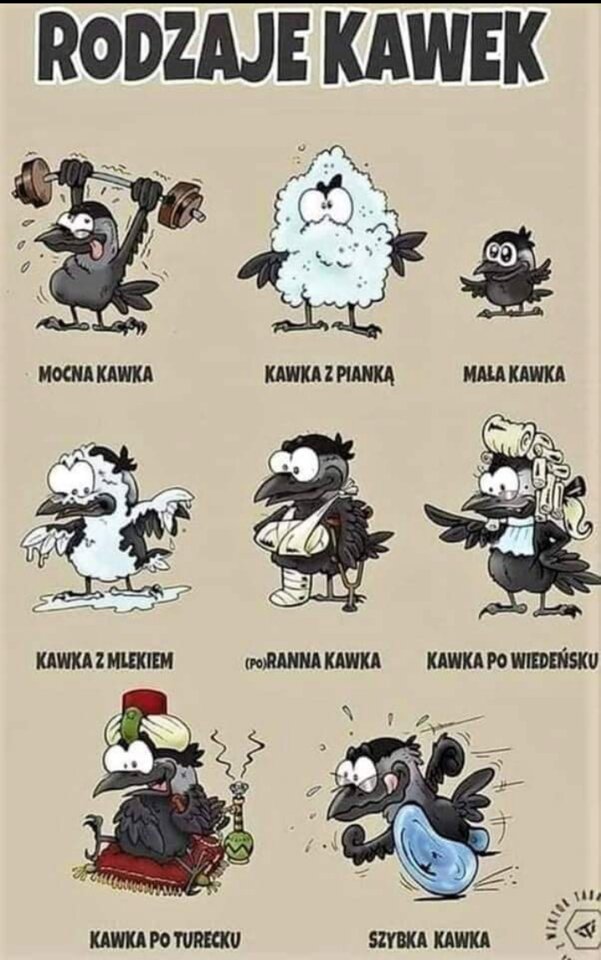 Jaki rodzaj Ty lubisz.? - KawaCzySex