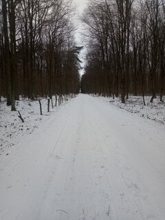 IMG_20220122_141546.jpg