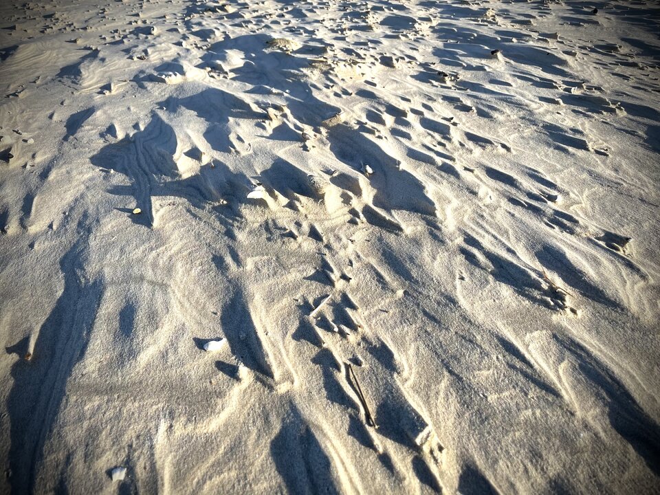 AC2B3F22-1C25-4A57-9374-A272031EF8BC.jpeg - NaturystaXXX