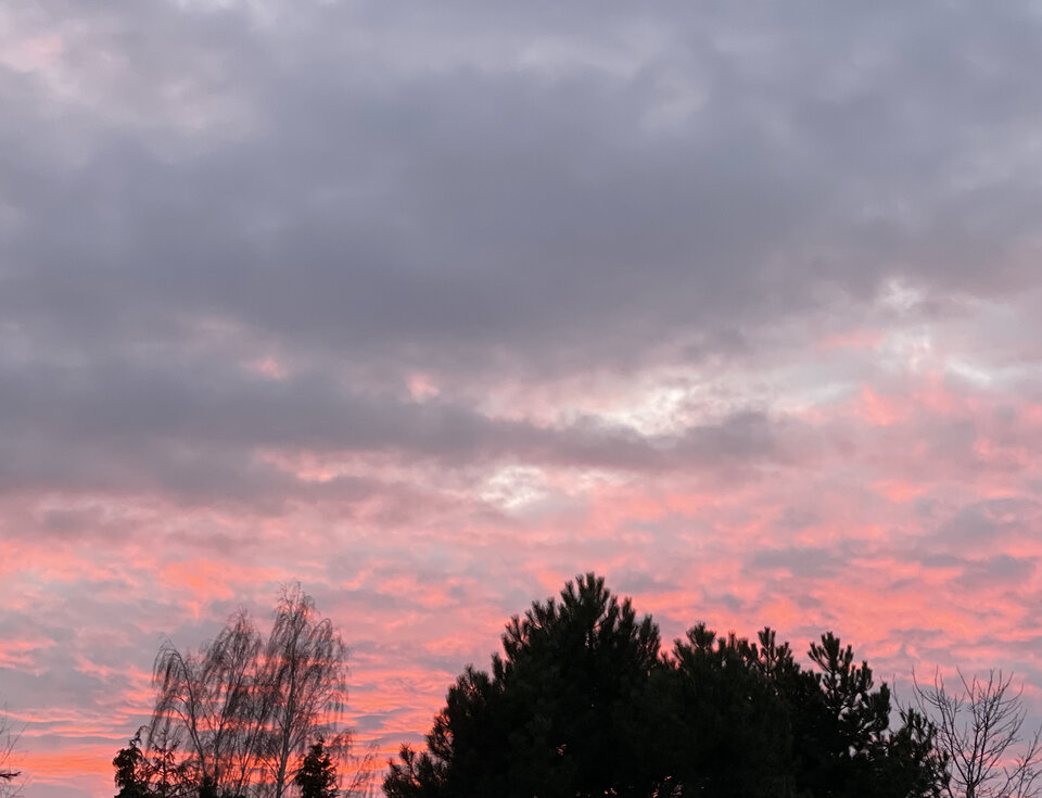 6CF6694C-0EA2-446B-B414-4F37B3DBCD5C.jpeg - NaturystaXXX