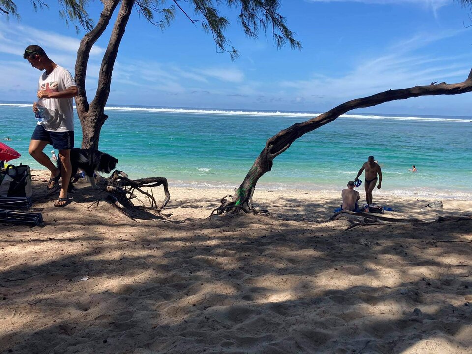 EEFBA41D-00C1-4498-8CEB-F87F27D281E2.jpeg - Adam130