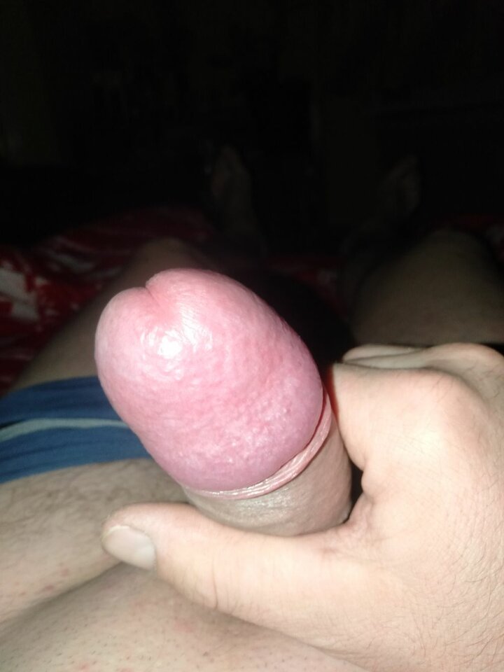 60fe95828c9a977ae2c09efc781e578e6a734191.jpg - holywood