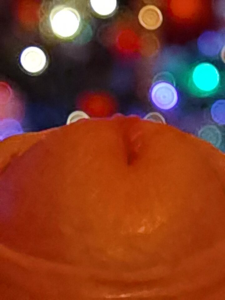 1643069217168.jpg - Mabakol