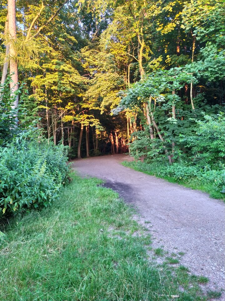 photo_editor_ds_1643088045290.jpg - Wstydliwi75