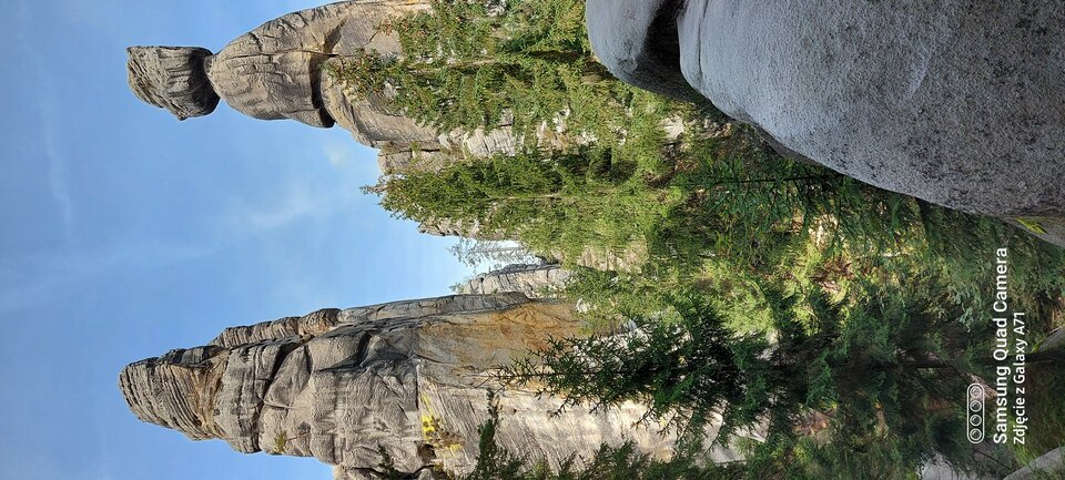 20210915_121537.jpg - PiotrekLub