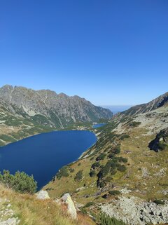 IMG_20210909_122808.jpg