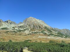IMG_20210909_120144.jpg