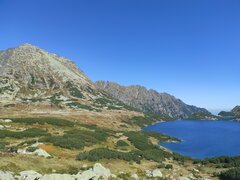 IMG_20210909_120850.jpg