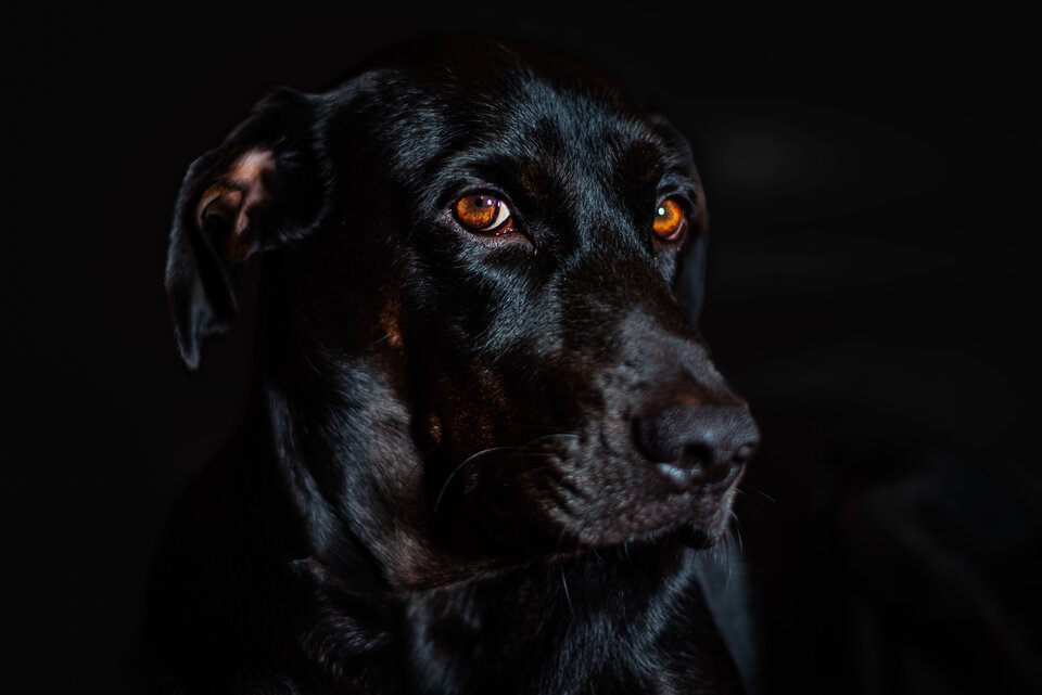 Z ciemności w ciemność - mystic