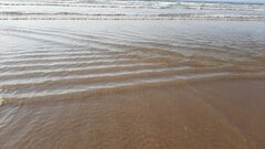 20200913_160236.jpg