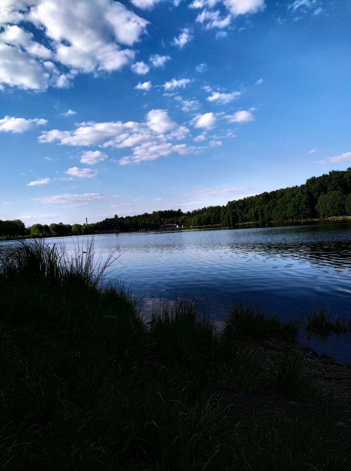 FB_IMG_1643260385789.jpg - Wstydliwi75